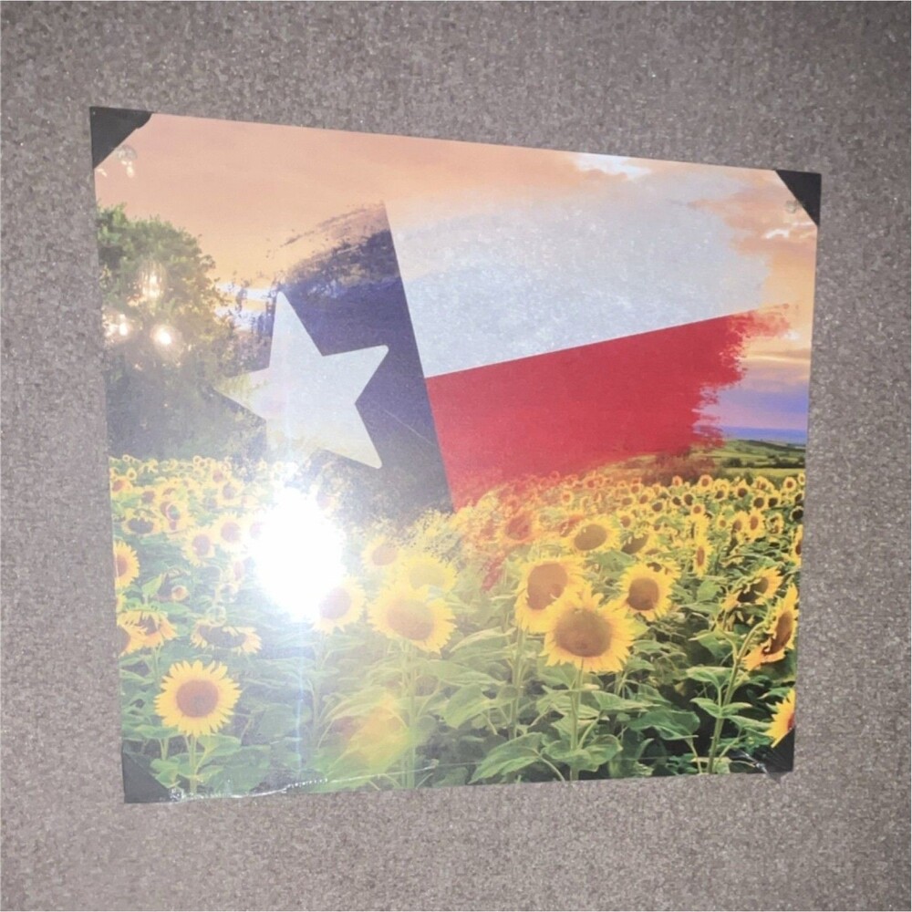 Texas Essentials Decorative Wall Art Sign Texas Flag Sunflowers 16" x 18"